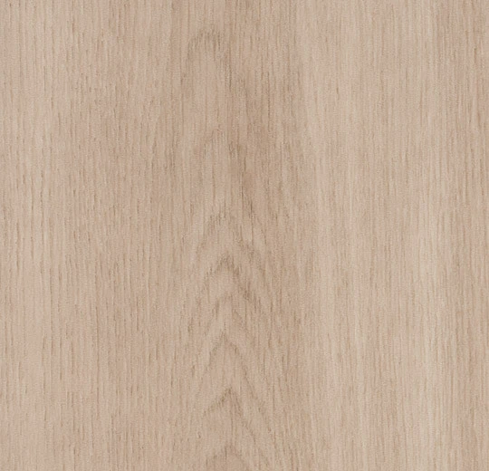5303AD8 dune smooth oak (120x20 cm)